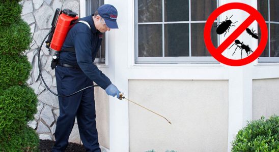 Villakent Böcek İlaçlama böcek ilaçlama ve haşere kontrolü — ilaclama-tr.com